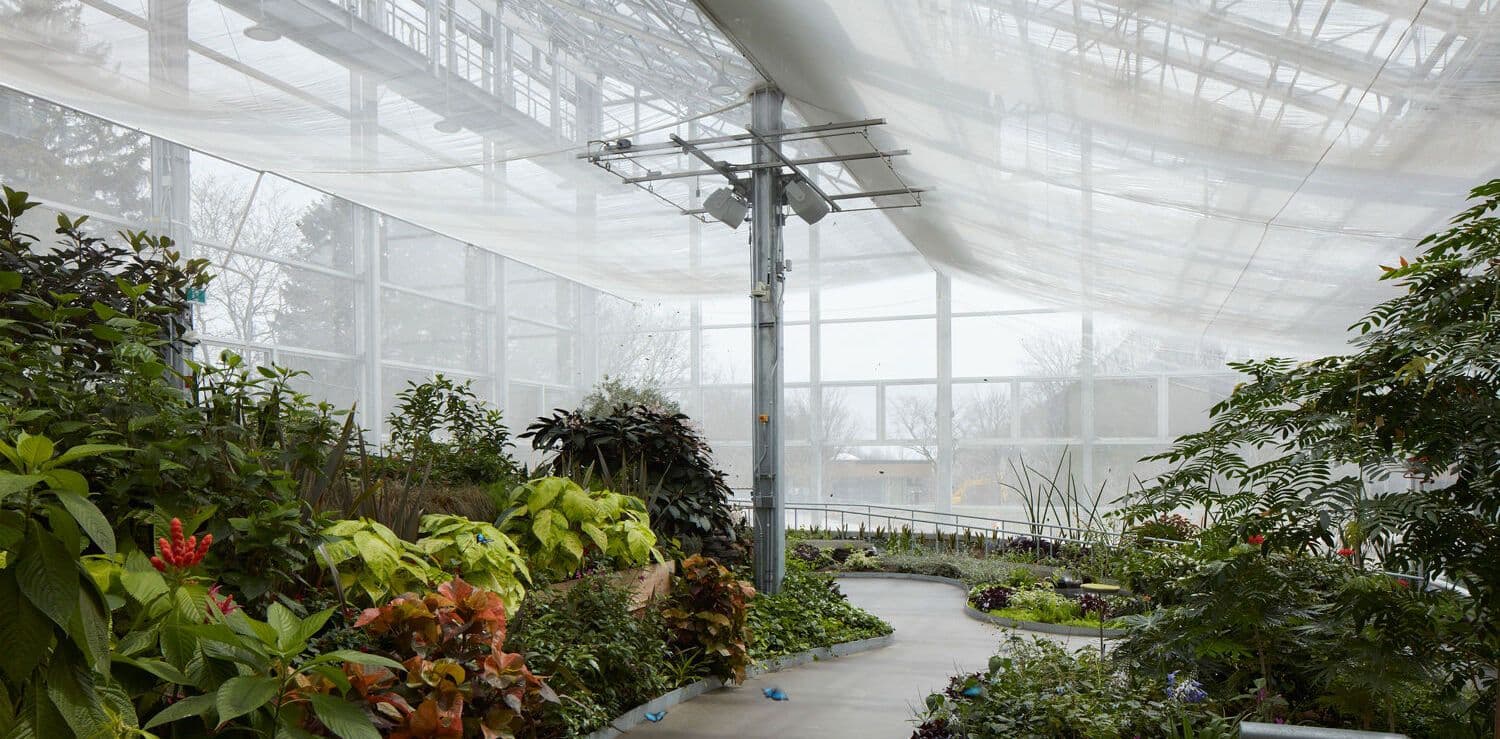 A climax in the insectarium of Montreal
