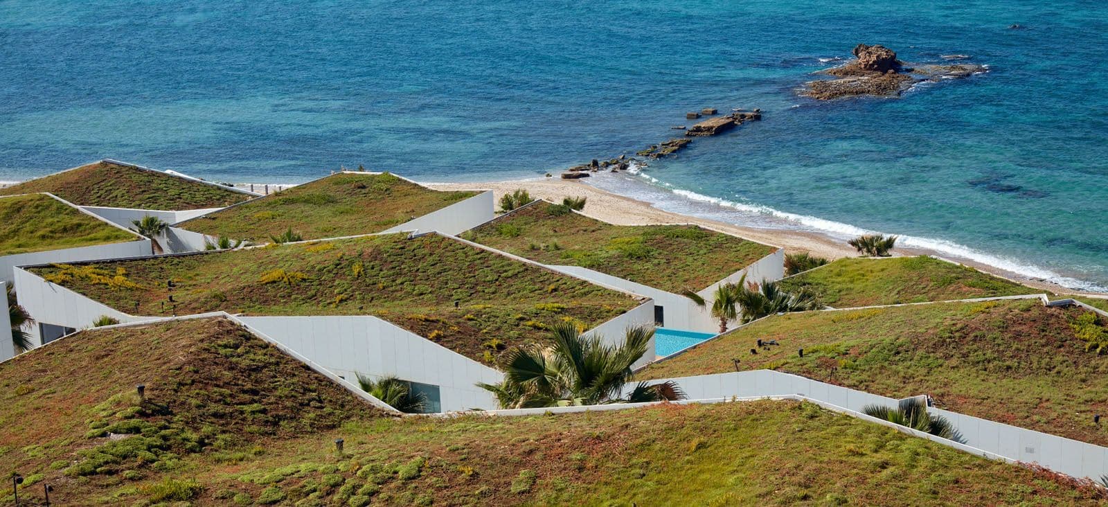 Buildings for people and plants