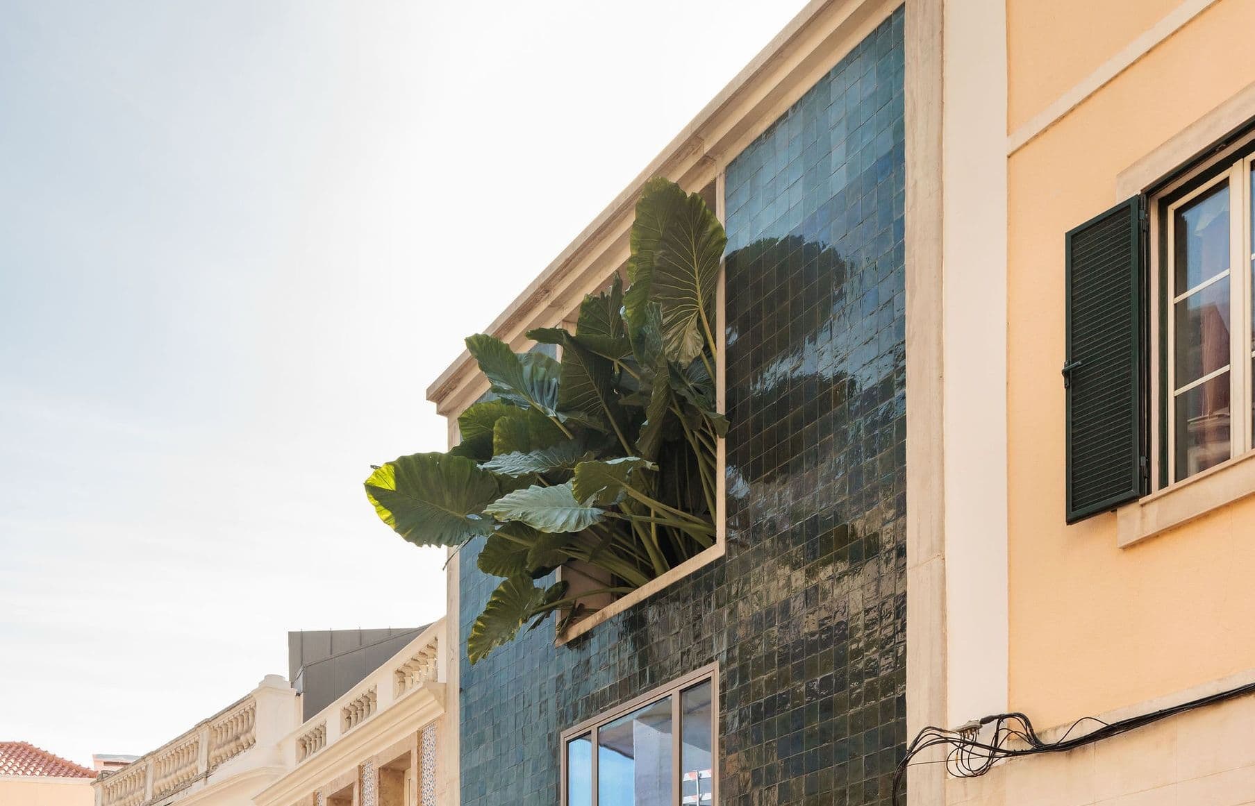 Balcony / Rua São Francisco de Borja by Bak Gordon